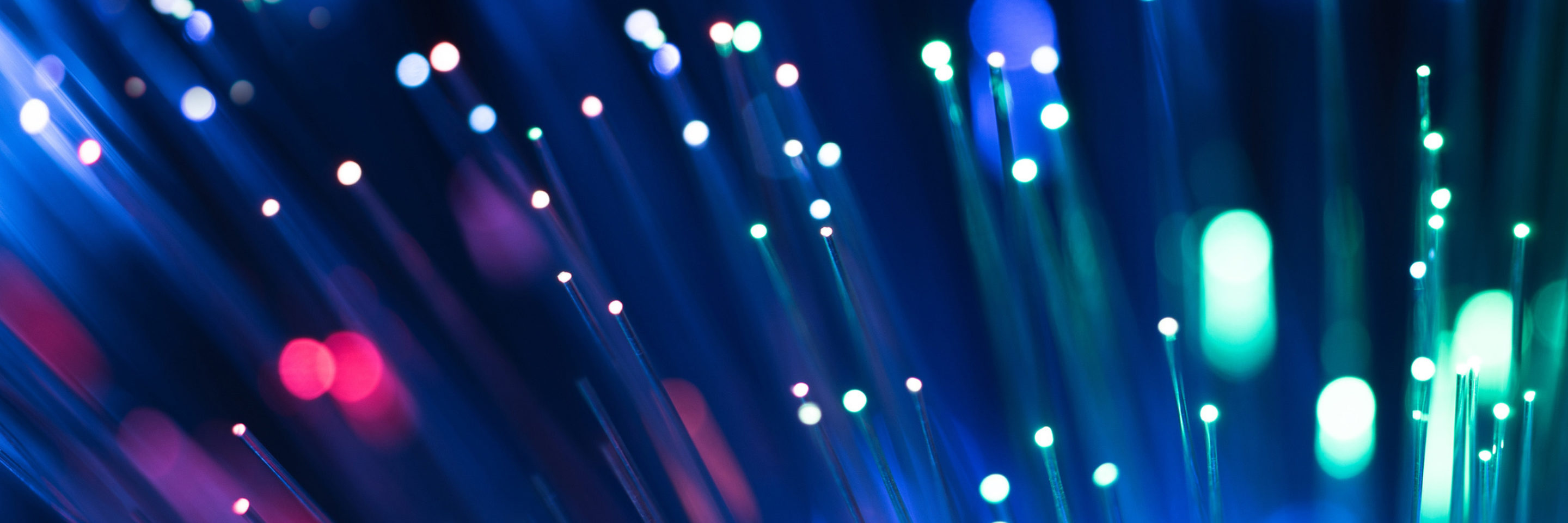 WHAT INDUSTRIES DOES SK FOCUS ON visual data 2